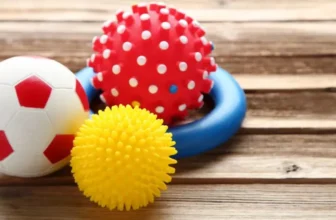 Wie findet man erschwingliches und sicheres Hundespielzeug?