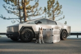 Wie wählt man die richtige Hundebox für die Reise aus?